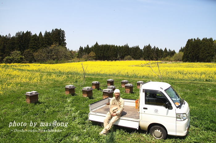 阿賀野市 養蜂 八米