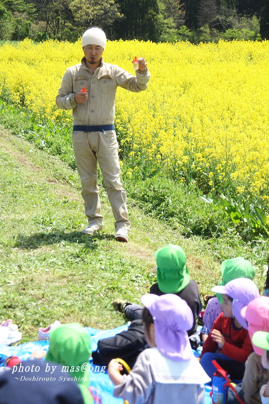 阿賀野市 養蜂 八米