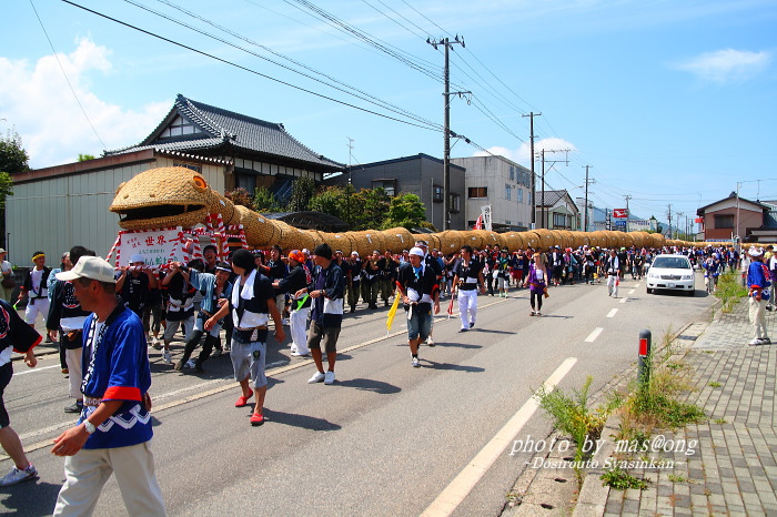 大したもん蛇まつり