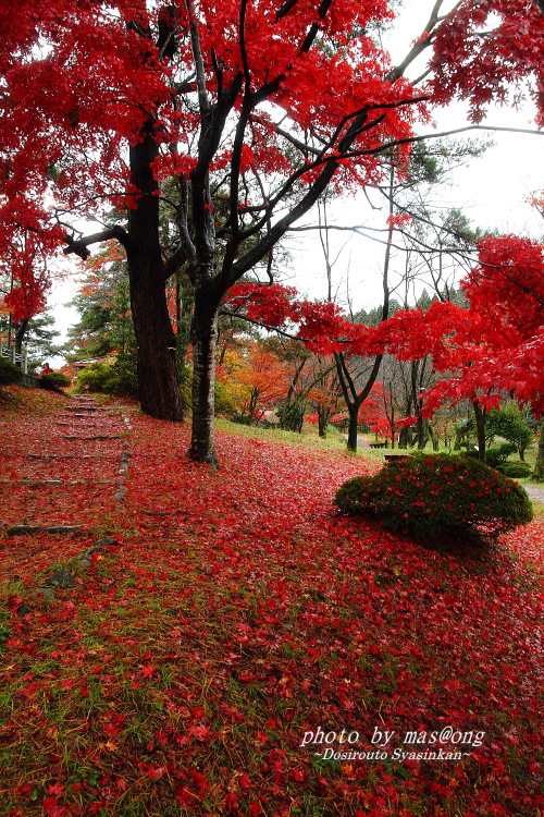 村松公園　紅葉