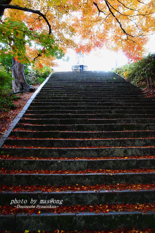 村松公園　紅葉