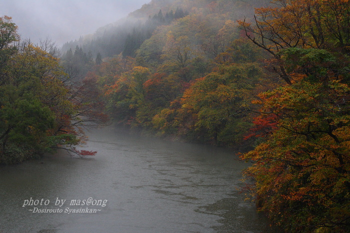 山形県小国町の紅葉