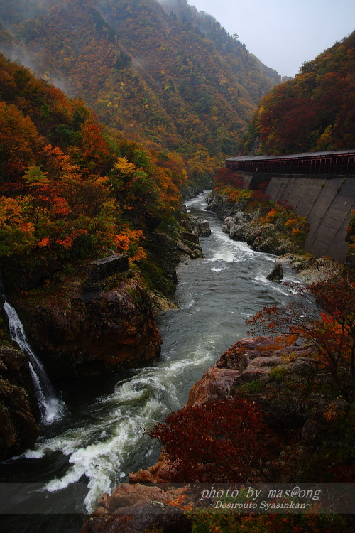 赤芝峡の紅葉 山形県小国町