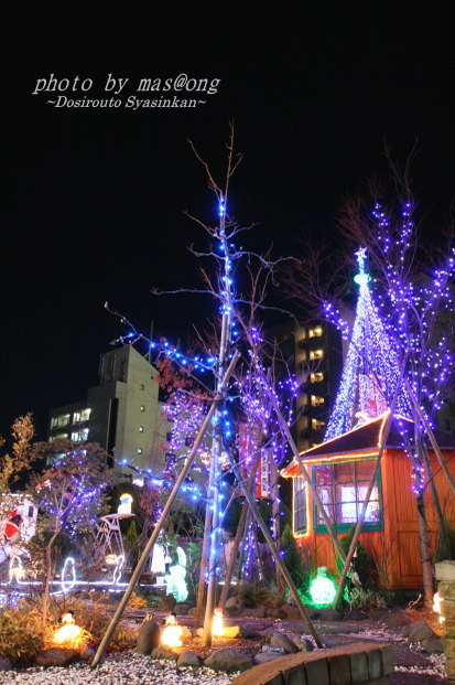新潟市 クリスマス イルミネーション